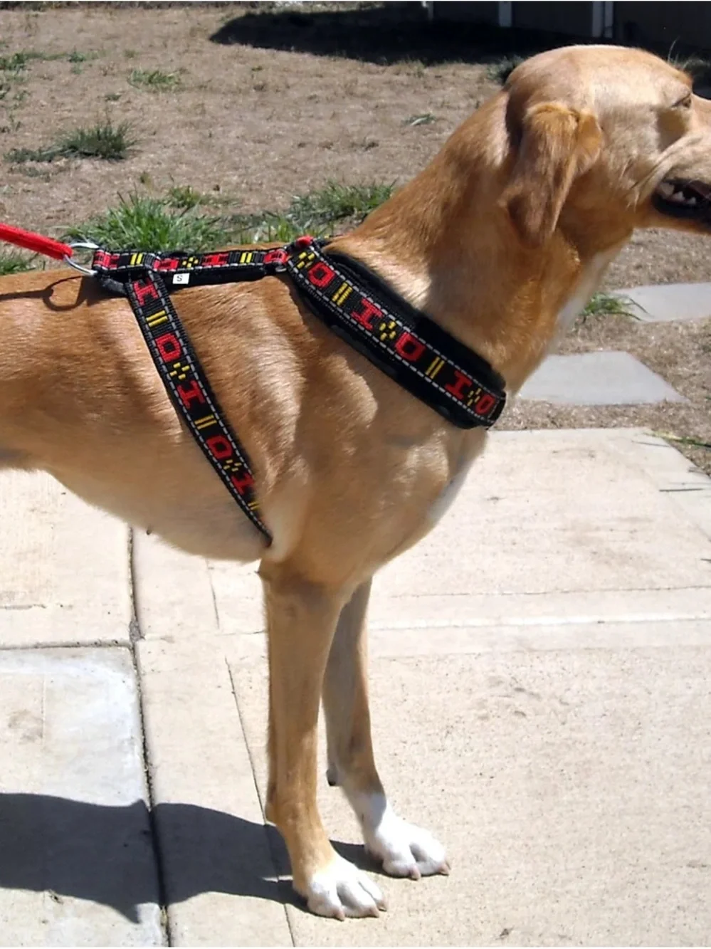 Howling Dog Alaska Dog Distance Harness Size Large Fits 21-22 inches (60-69 Ibs)